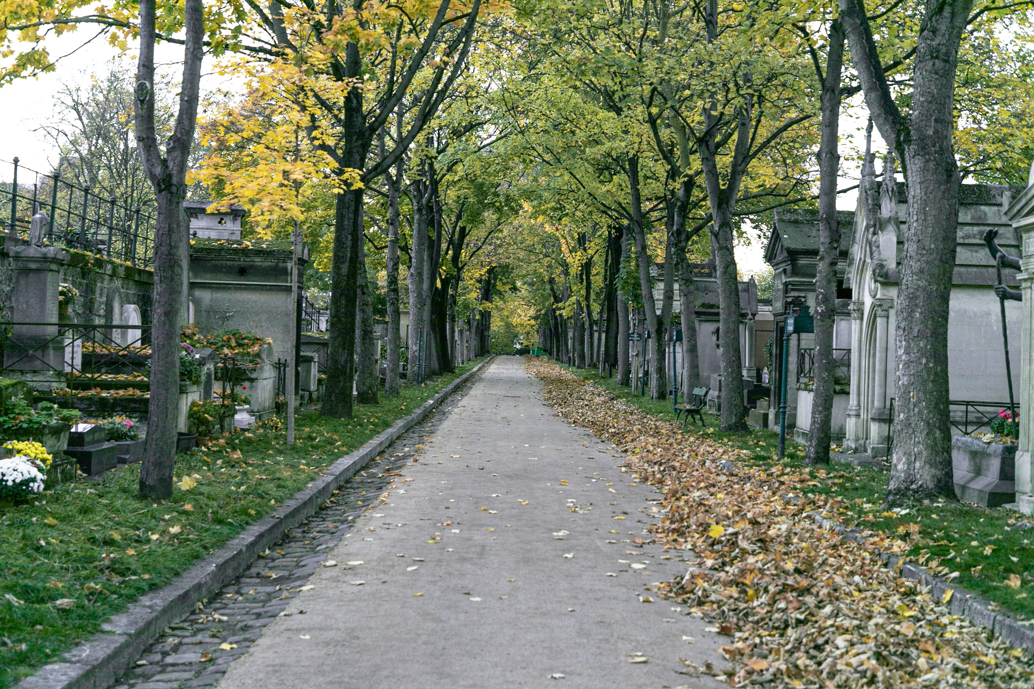 Grande allée dans un cimetière